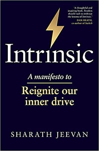 Intrinsic : A Manifesto To Reignite Our Inner Drive
