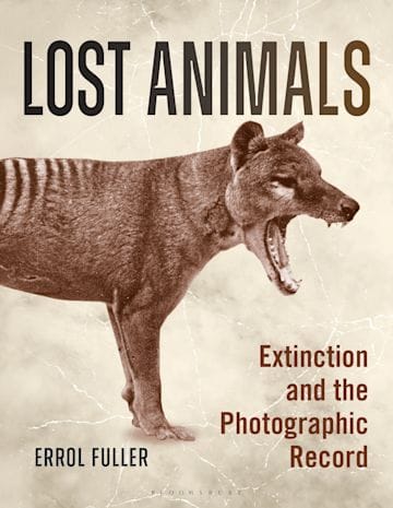 Lost Animals?Paperback