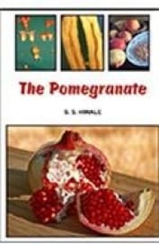 The Pomegranate (HB)