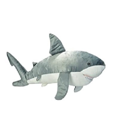 Jumbo Shark