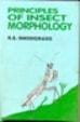 Principles of Insect Morphology (PB)