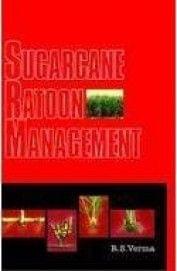 Sugarcane Ratoon Management (HB)
