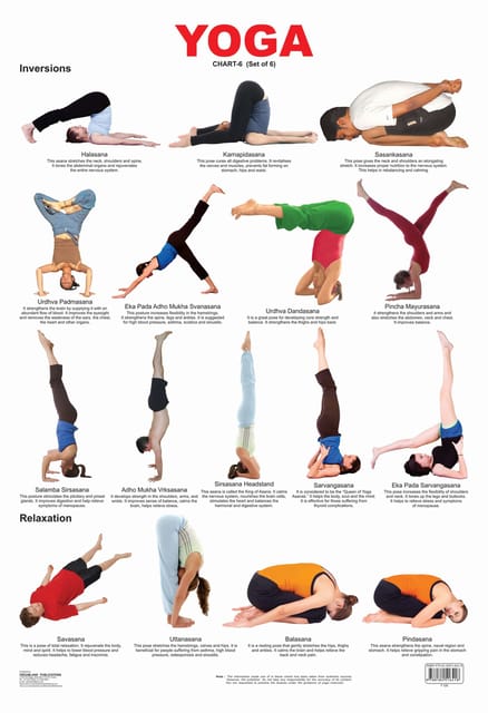 Yoga Chart - 6 : Reference Educational Wall Chart