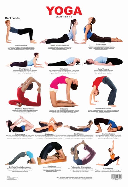 Yoga Chart - 5 : Reference Educational Wall Chart
