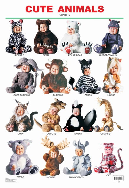 Cute Animals - 2. : Reference Educational Wall Chart