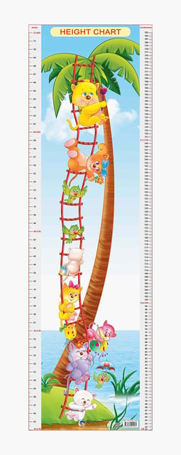 Height Chart - 6 : Reference Educational Wall Chart