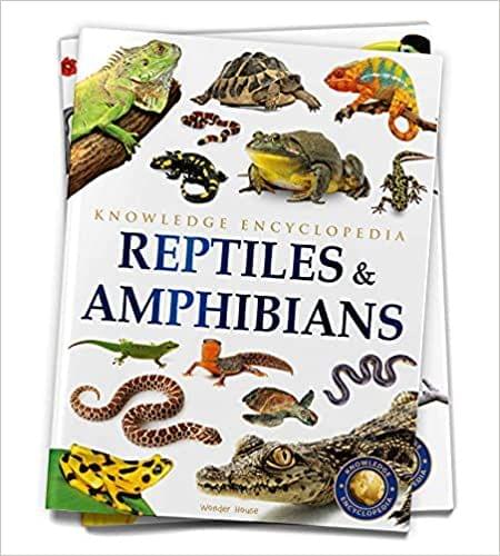 Animals - Reptiles and Amphibians : Knowledge Encyclopedia For Children