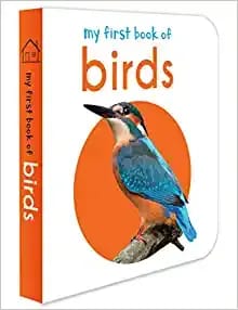 My First Book of Birds: First Board Book