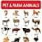 Pet And Farm Animals - My First Early Learning Wall Chart: For Preschool, Kindergarten, Nursery And Homeschooling (19 Inches X 29 Inches)?