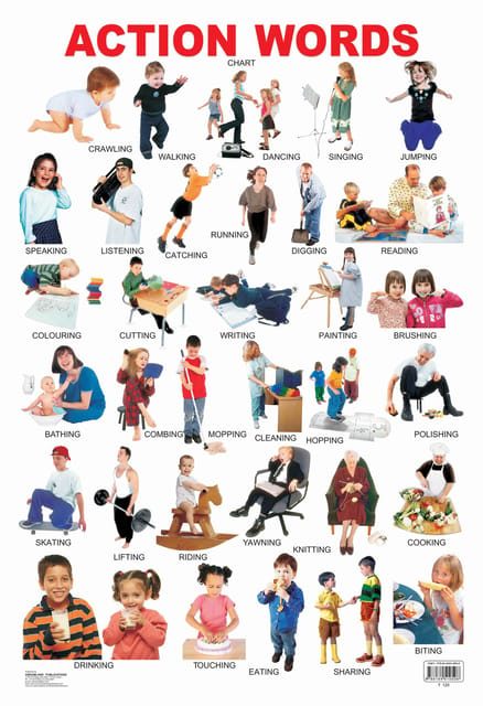 Action Words : Reference Educational Wall Chart