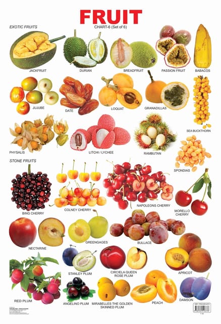 Fruit Chart - 6 : Reference Educational Wall Chart