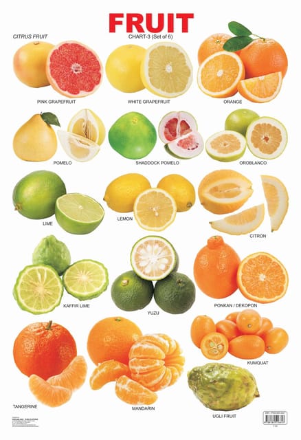 Fruit Chart - 3 : Reference Educational Wall Chart