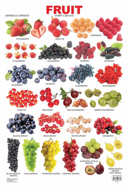 Fruit Chart - 2 : Reference Educational Wall Chart