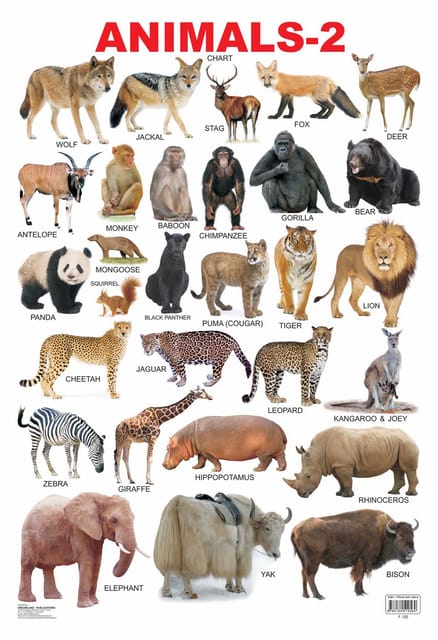 Animals-2 : Reference Educational Wall Chart