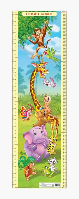 Height Chart - 1 : Reference Educational Wall Chart