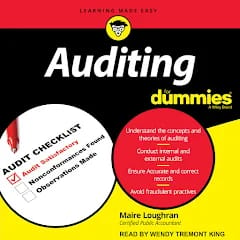 Auditing (With Learning Techniques)