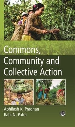 Commons, Community And Collective Action