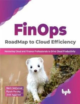Finops: Roadmap To Cloud Efficiency?