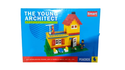 The Young Architect
