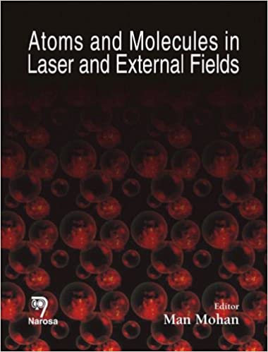 Atoms and Molecules in Laser and External Fields   184pp/HB