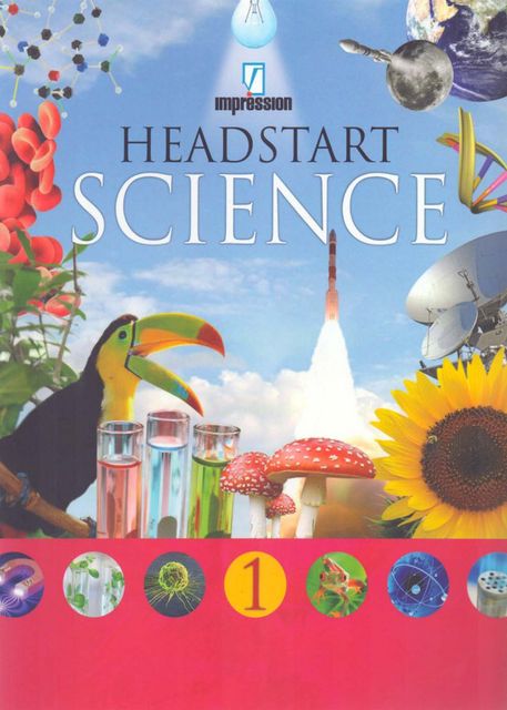 Head Start Science Class - 1